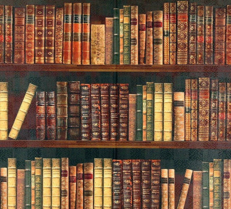 【タペストリー＆のれん】BOOKSHELF本棚【幅85cm×長さ150cm】14447暖簾[間仕切り/テレワーク/リモートワーク背景/オンライン宅飲み背景/ロングのれん]【あす楽対応】999860【ネコポス送料無料】